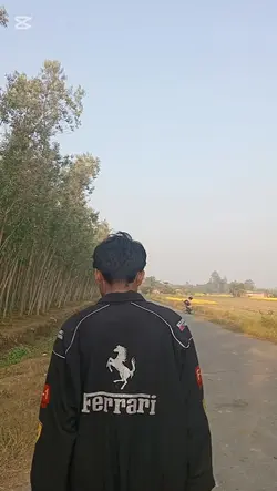 payar 