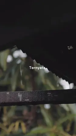 Lagu Viral Tiktok 