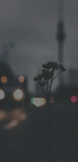 for you
