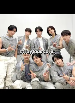 stray kids core 