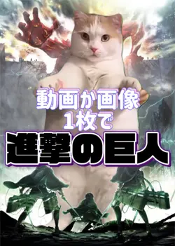 動画か画像1枚✊背景透過不要
