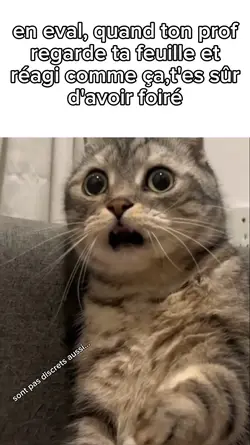 réel