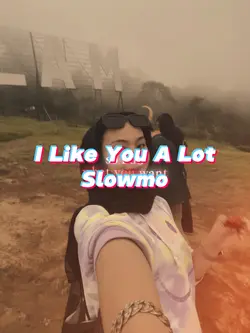 I Like You A Lot