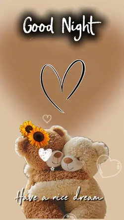 good Night
