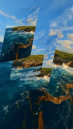 14 video or photo