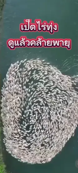 เสียงไม่มีลิขสิทธิ์