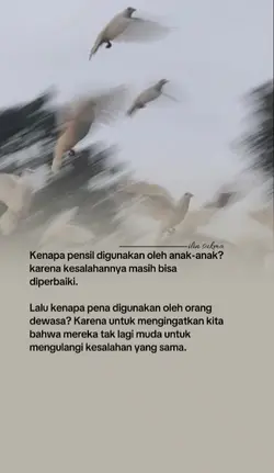 story 