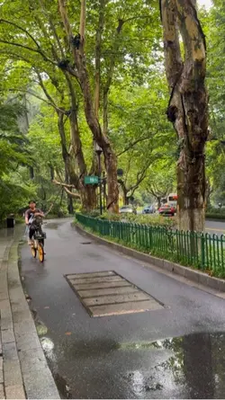 Hàng Châu xanh mướtt