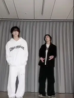 K-pop idol!