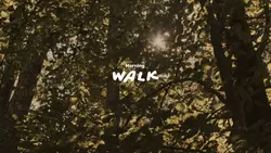morning walk 