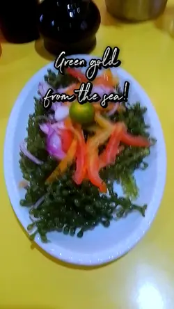 Seaweed magic