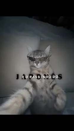 E o passinho do 🇯🇵