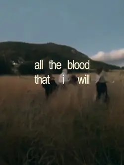 the lumineers