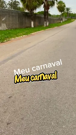 Meu carnaval