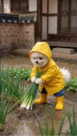 #파전