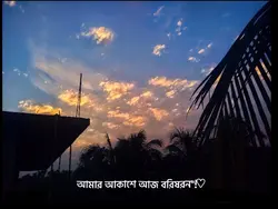 আমার আকাশে আজ বরিষরণ