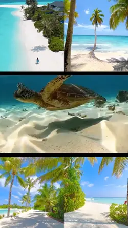 Suumer Beach