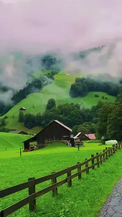 nasheed