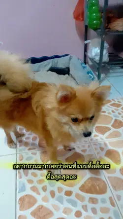 นู๋อ่ะไม่ดื้อจริงๆนะ
