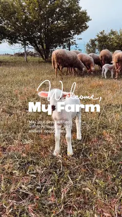 My Farm