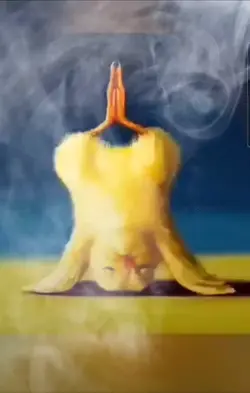 Lustige Meditation 