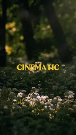 CINEMATIC