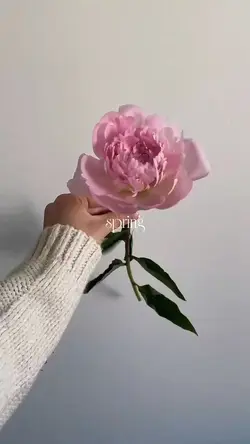 Spring Blossom