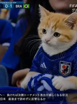 #AIもしW杯に出てたら #AIサッカー
