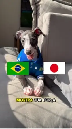 Copa do mundo Pet