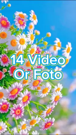 14 Video Slide