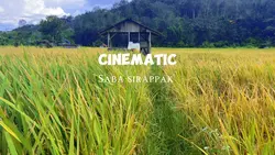 Cinematic