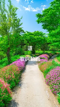 道
