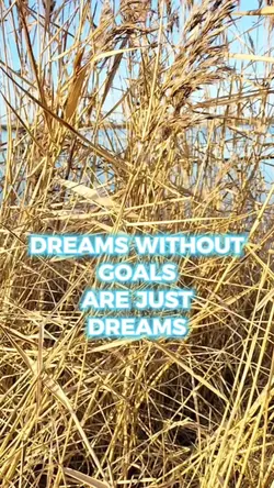 DREAMS WITHOUT GOALS