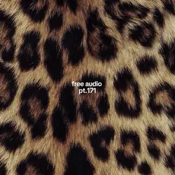 free audio pt.171 