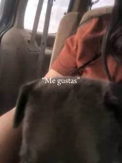No yo