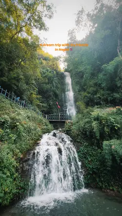 A trip with friends 