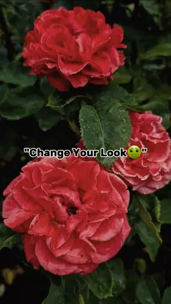 change your look