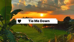Tie Me Down
