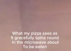 Food POV microwave 