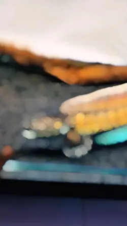 hobi ikan