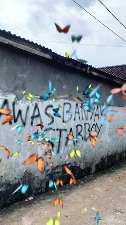 trend kupu kupu