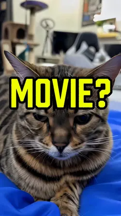 A movie? 