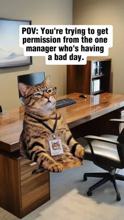 “Manager on Hard Mod