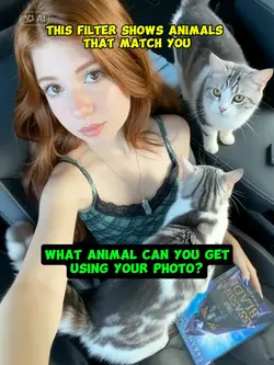 matching animal