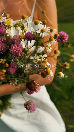 SPRING IS COMING