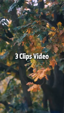 3 Video Cinematic