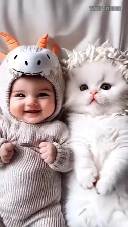 Funny Ai cat video 