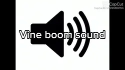 vine boom 