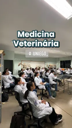 Cursos Aula Pratica
