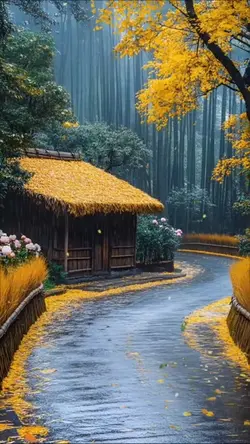 Autumn 